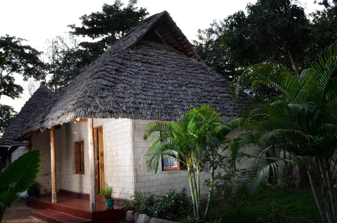 Charming Eco-Homestay Near Kilimanjaro International Airport Arusha Exteriör bild